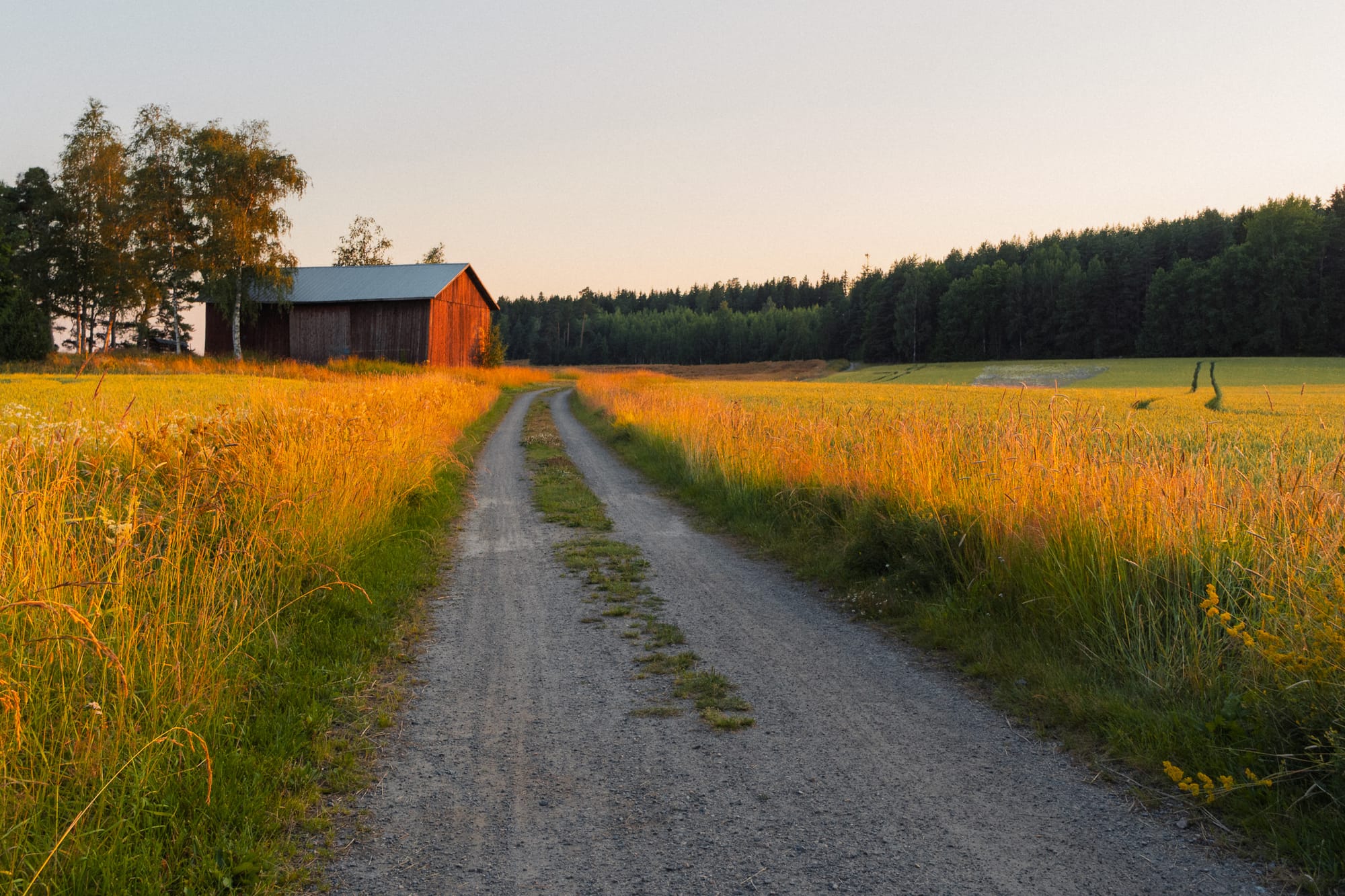 Weg durch Felder führt auf rote Holzscheune zu