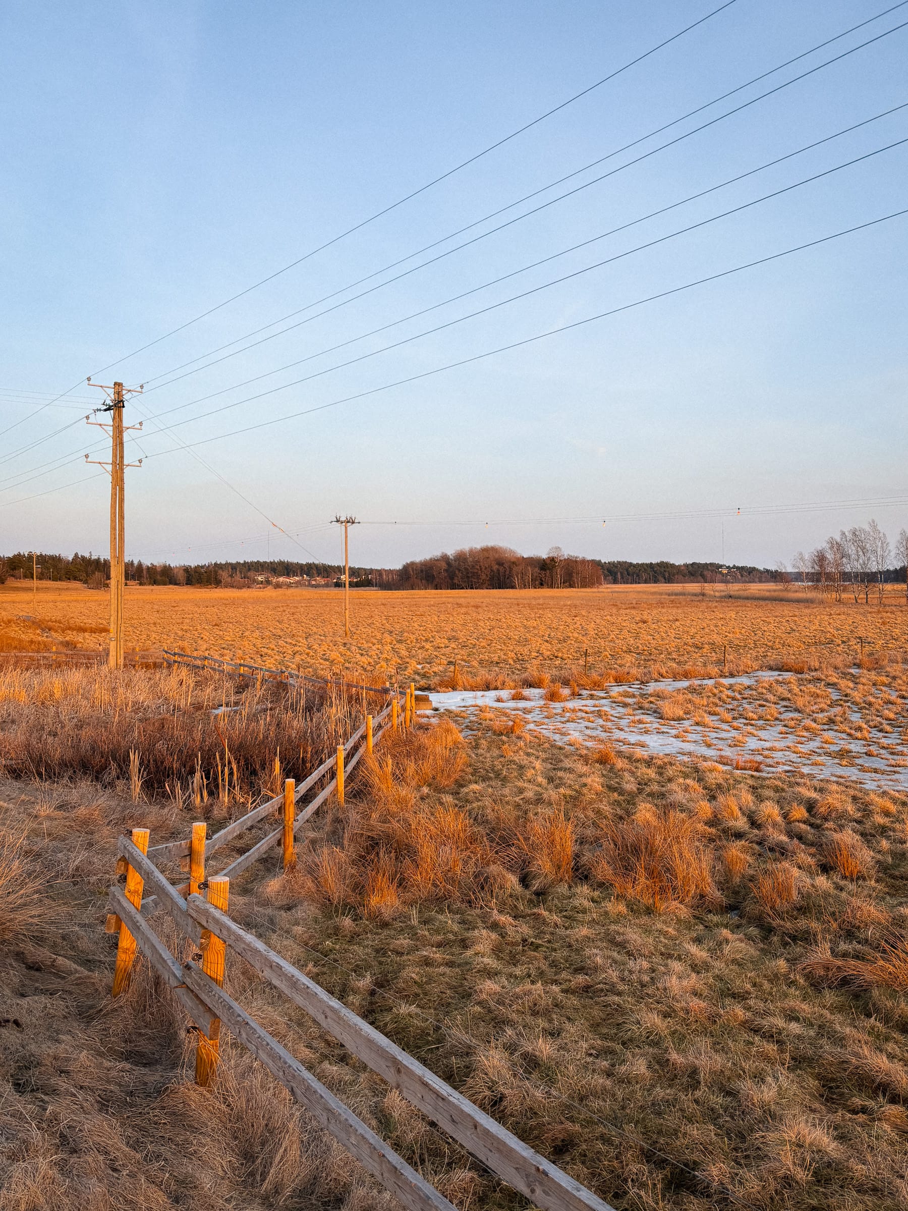 Zaun auf Wiese mit beige-braunen Gras