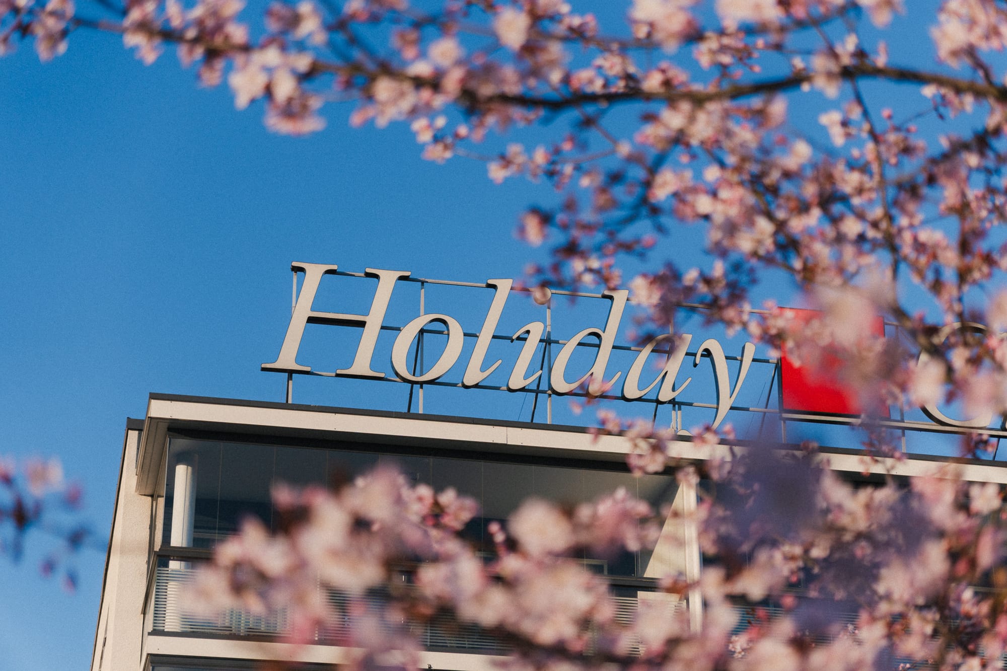 Schriftzug von Holiday Club hinter Kirschblüten