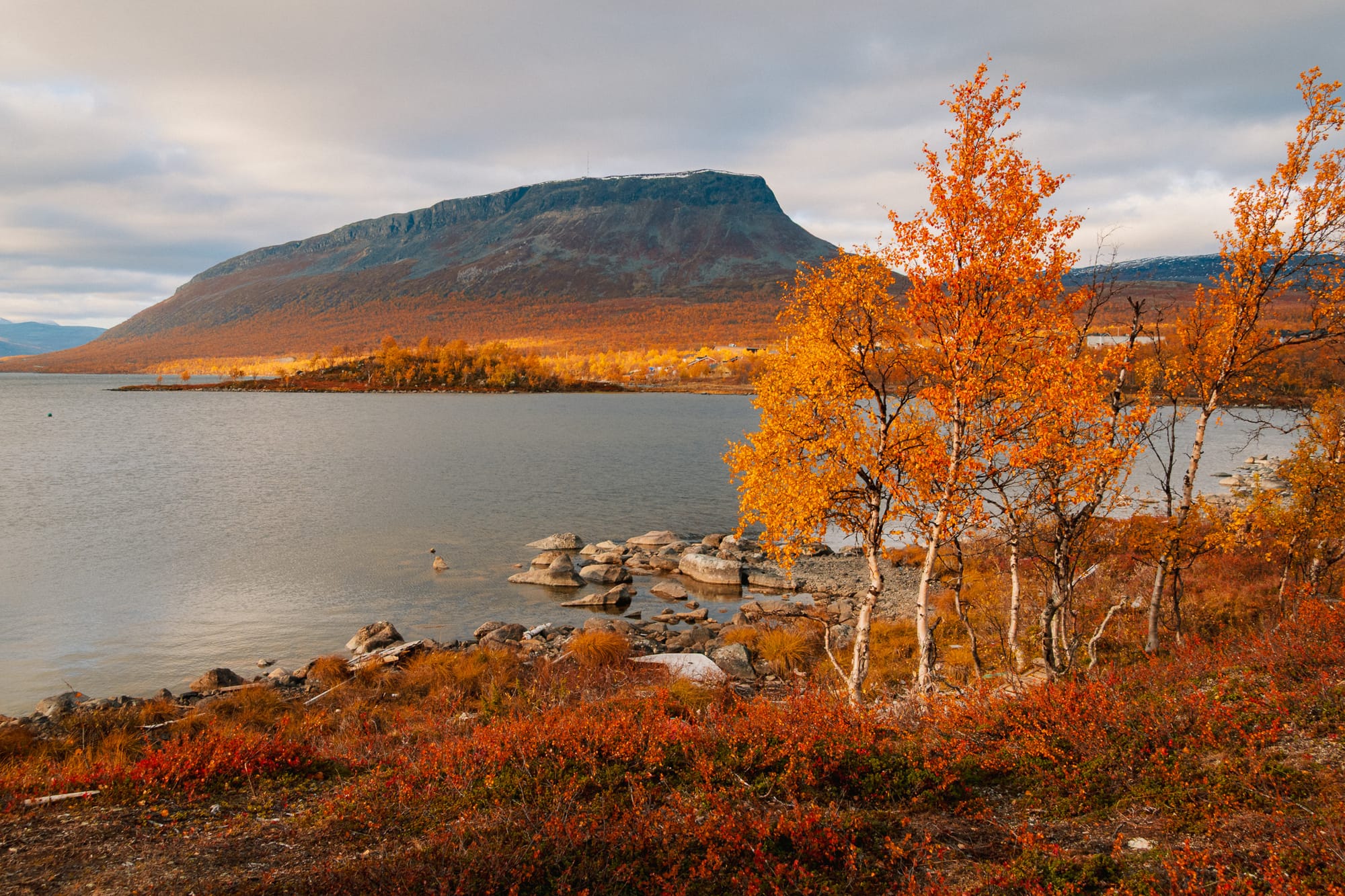 Berg an einem See, im Vordergrund eine herbstlich gefärbte Landschaft