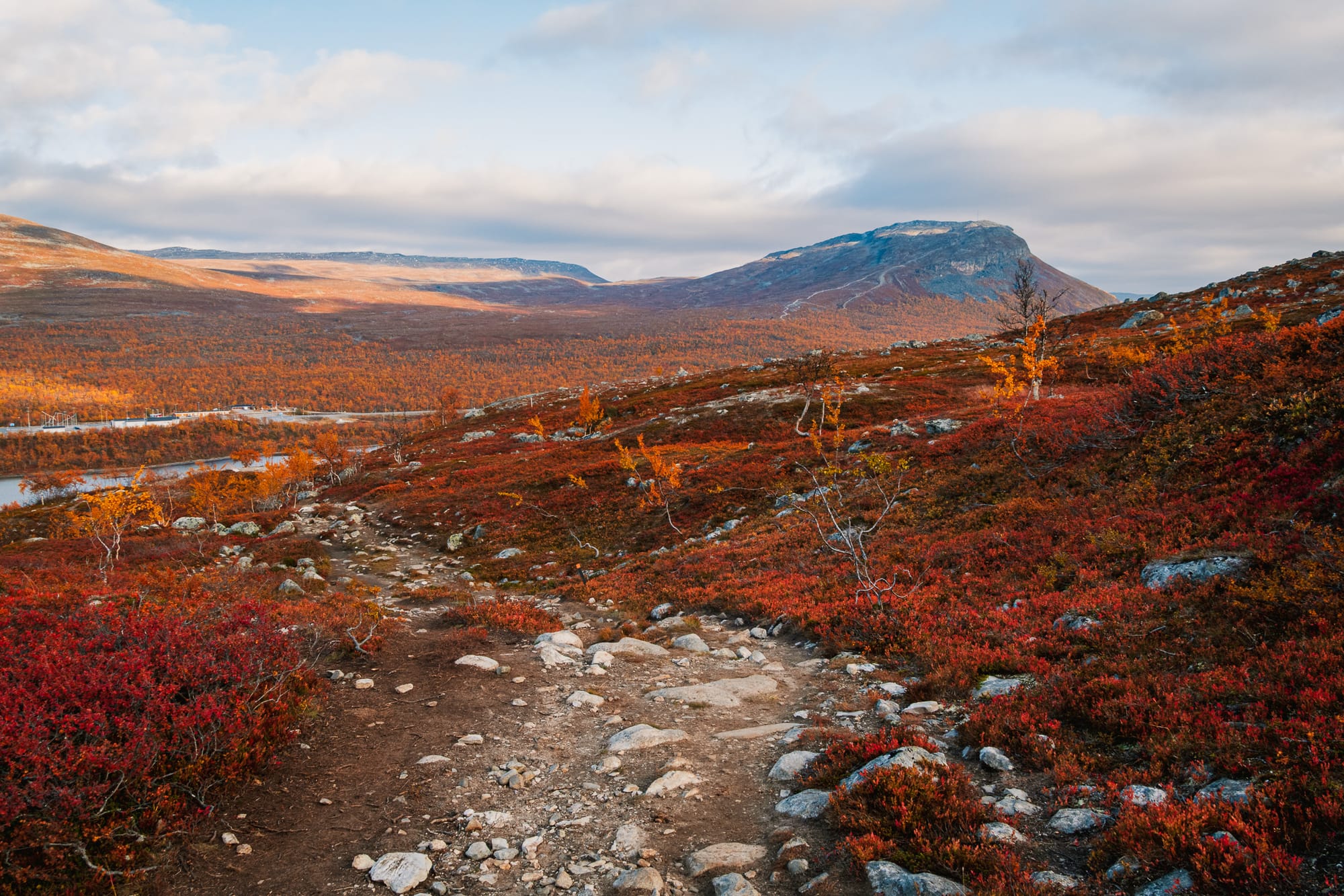 Wanderweg durch herbstlich gefärbtes Fjell