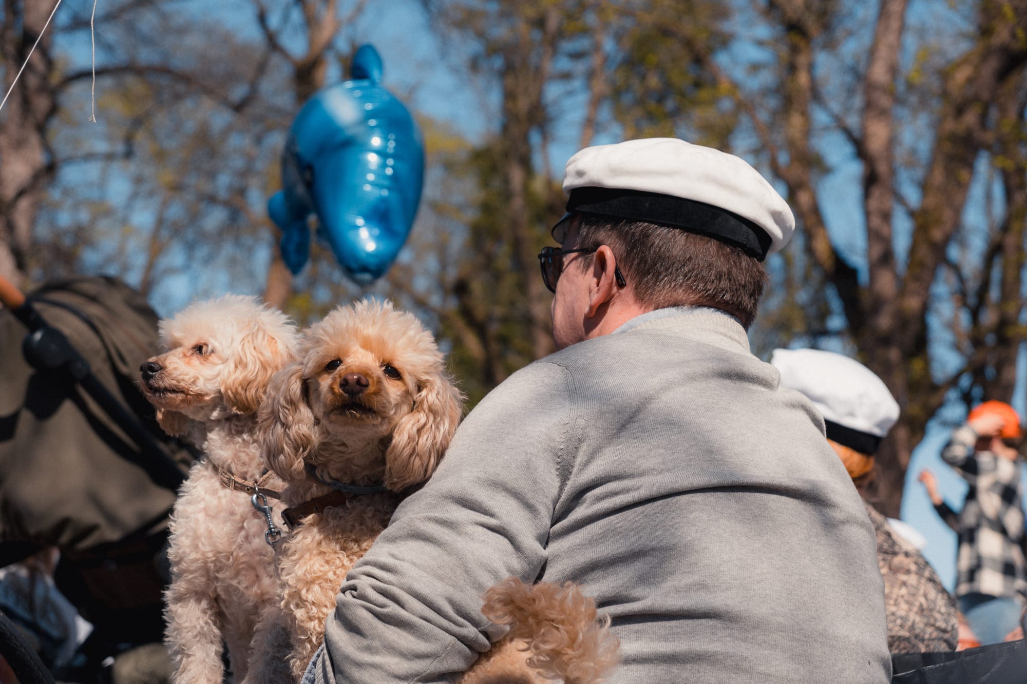 Mann mit Studentenmütze und zwei Hunden