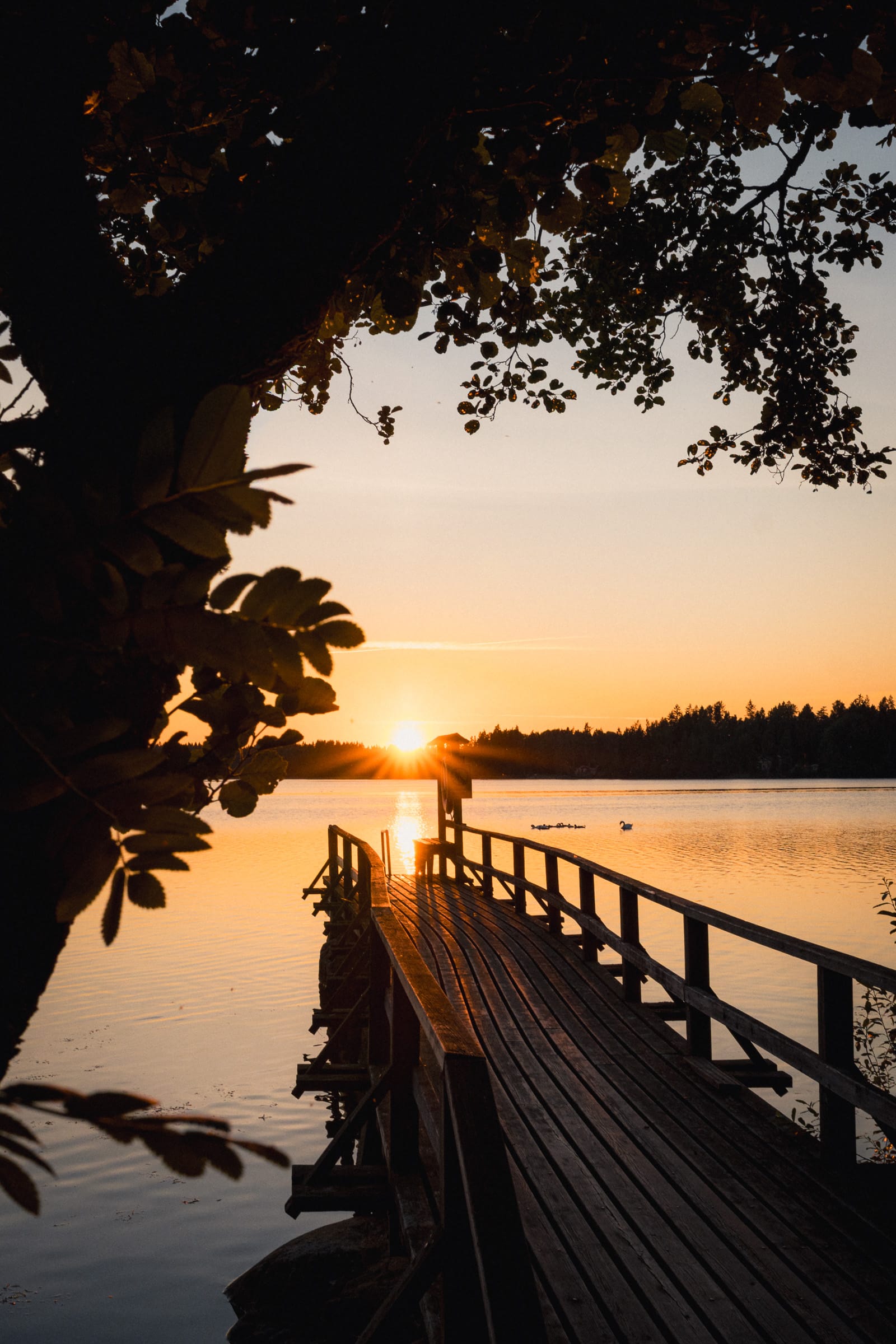 Steg am See mit tiefstehender Abendsonne