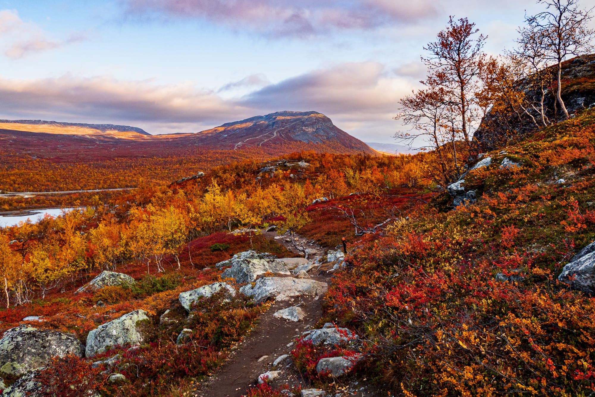 Wanderweg durch eine herbstliche Fjell-Landschaft