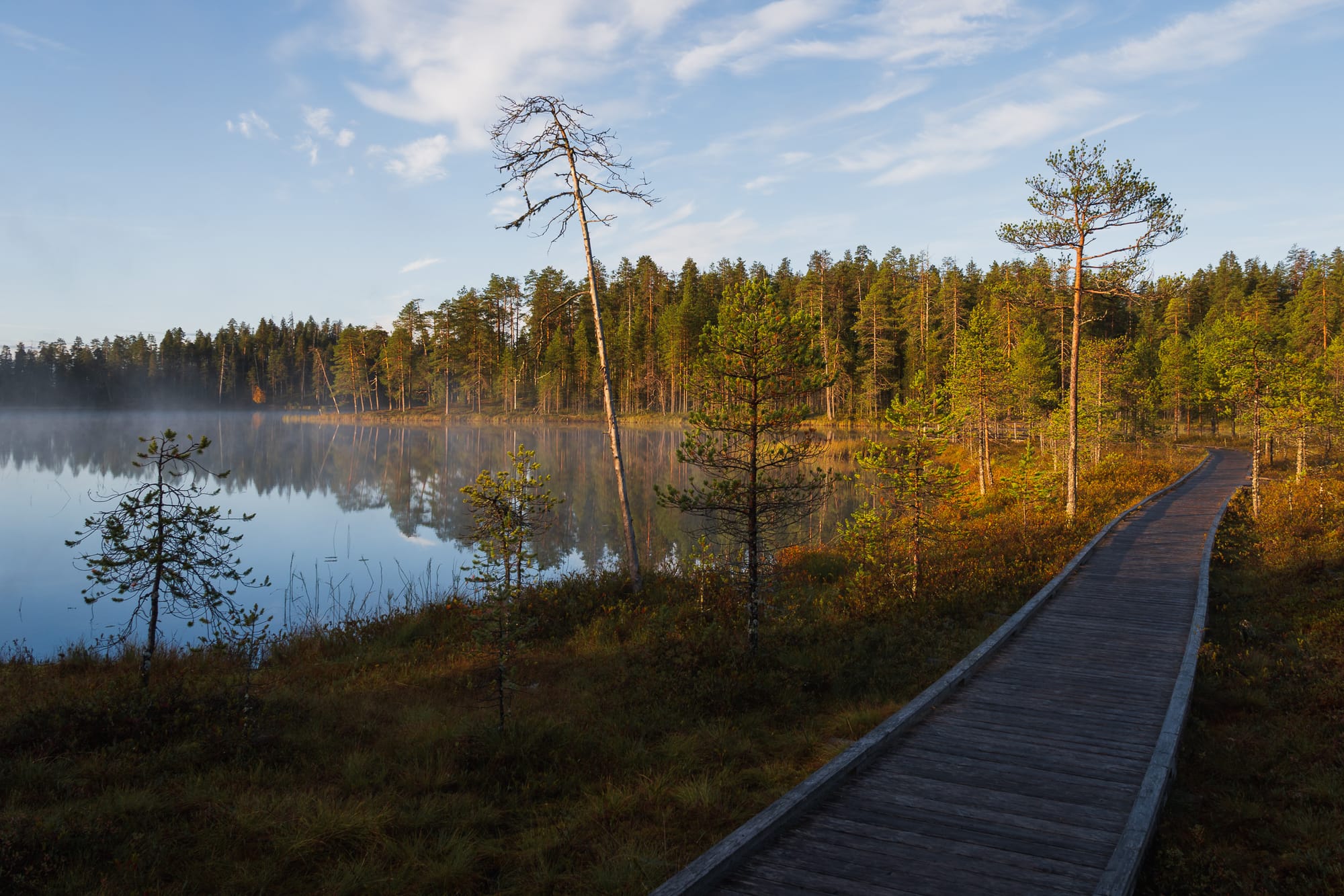 Holzbohlenpfad an einem See