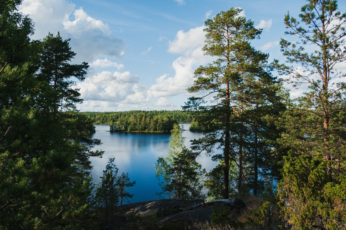 See mit Insel hinter Bäumen