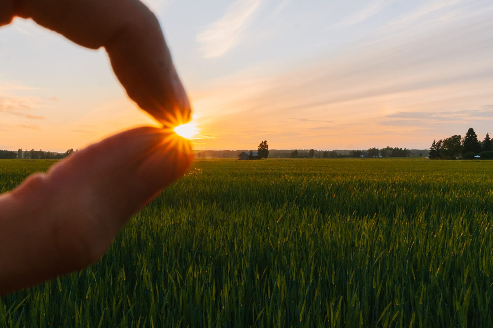 Der Sommer ist kurz