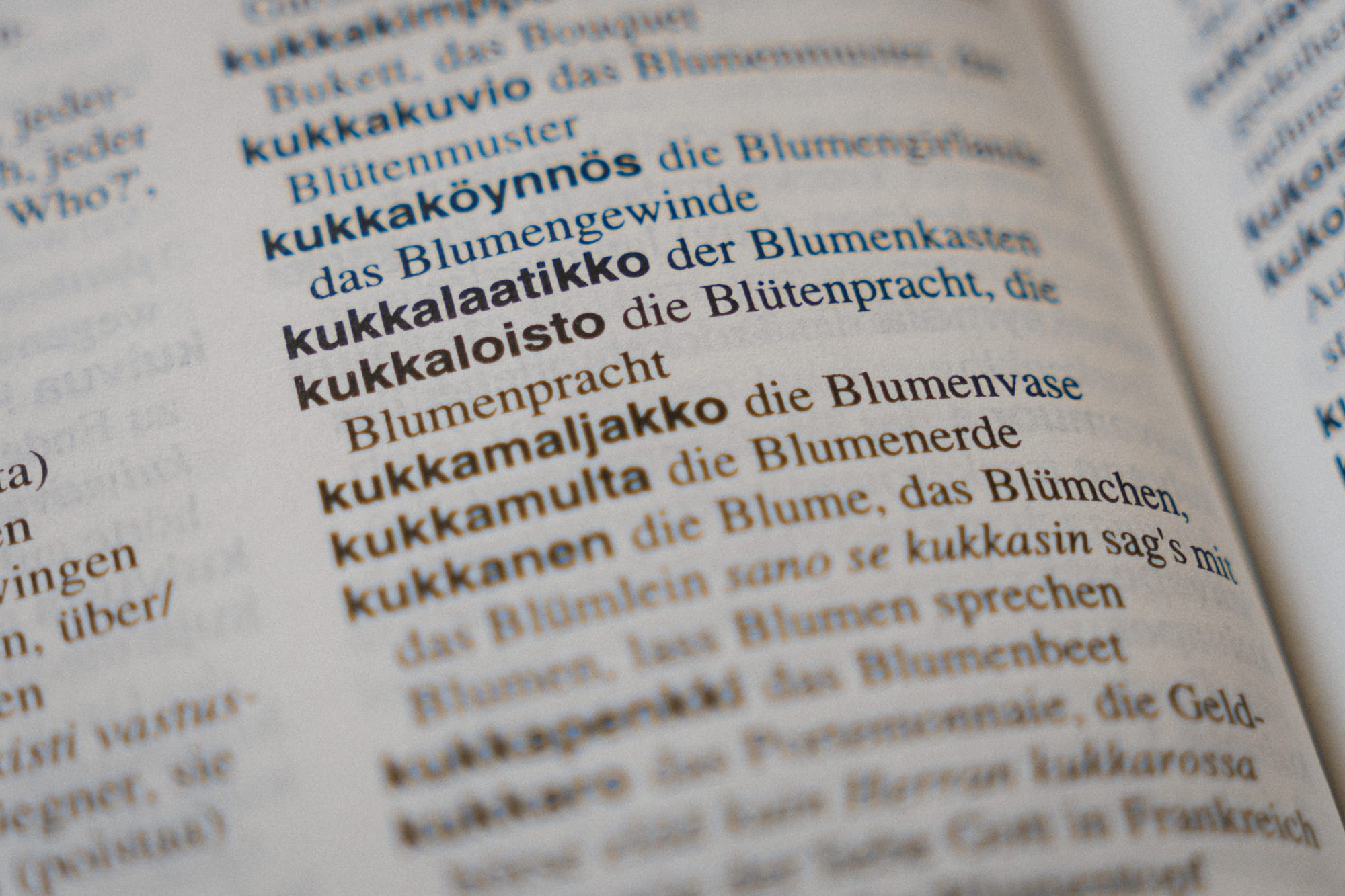 Wörterbuch Finnisch-Deutsch mit dem Wort kukkaloisto, die Blütenpracht