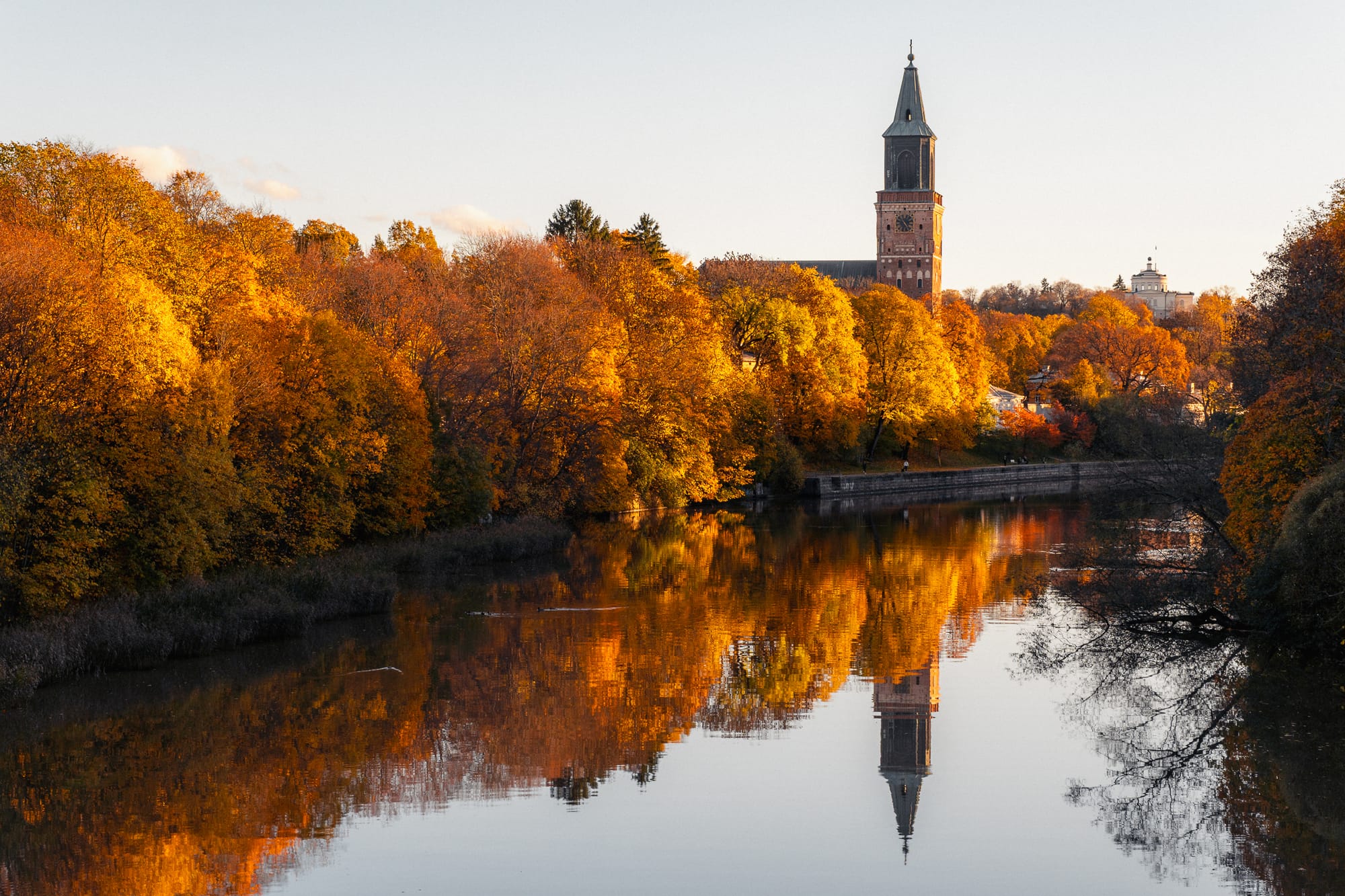 Herbstlich gefärbte Bäume am Aurajoki in Turku