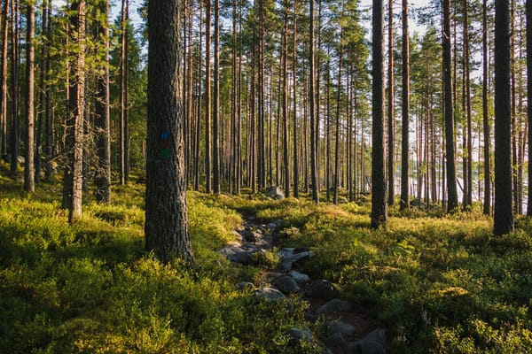 Finnland und die Liebe zur Natur